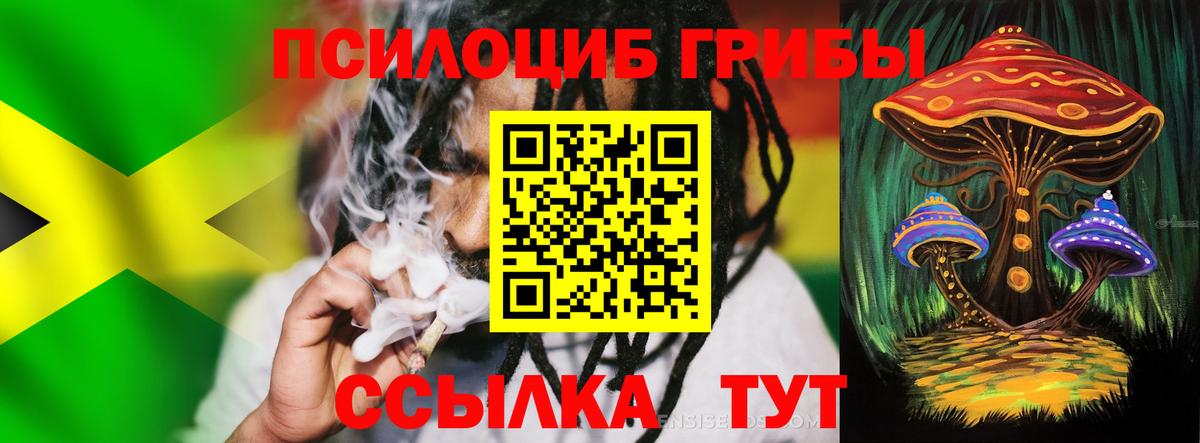 Галлюциногенные грибы Cubensis  Вход с VPN  Великие Луки 